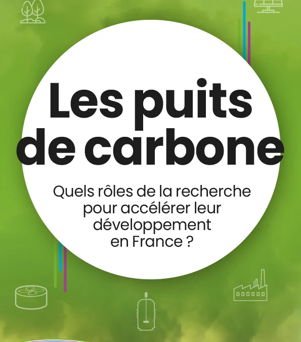Position paper : Les puits de carbone :  Quels rôles de la recherche pour accélérer leur développement en France ?Carbon sinks: What role for research in accelerating their development in France?